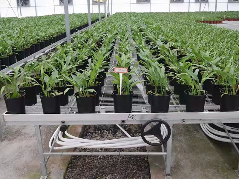 Greenhouse Seedbed Mesh